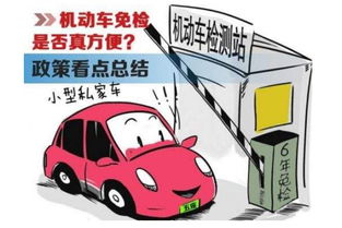 新车6年免检期内需要办理什么手续